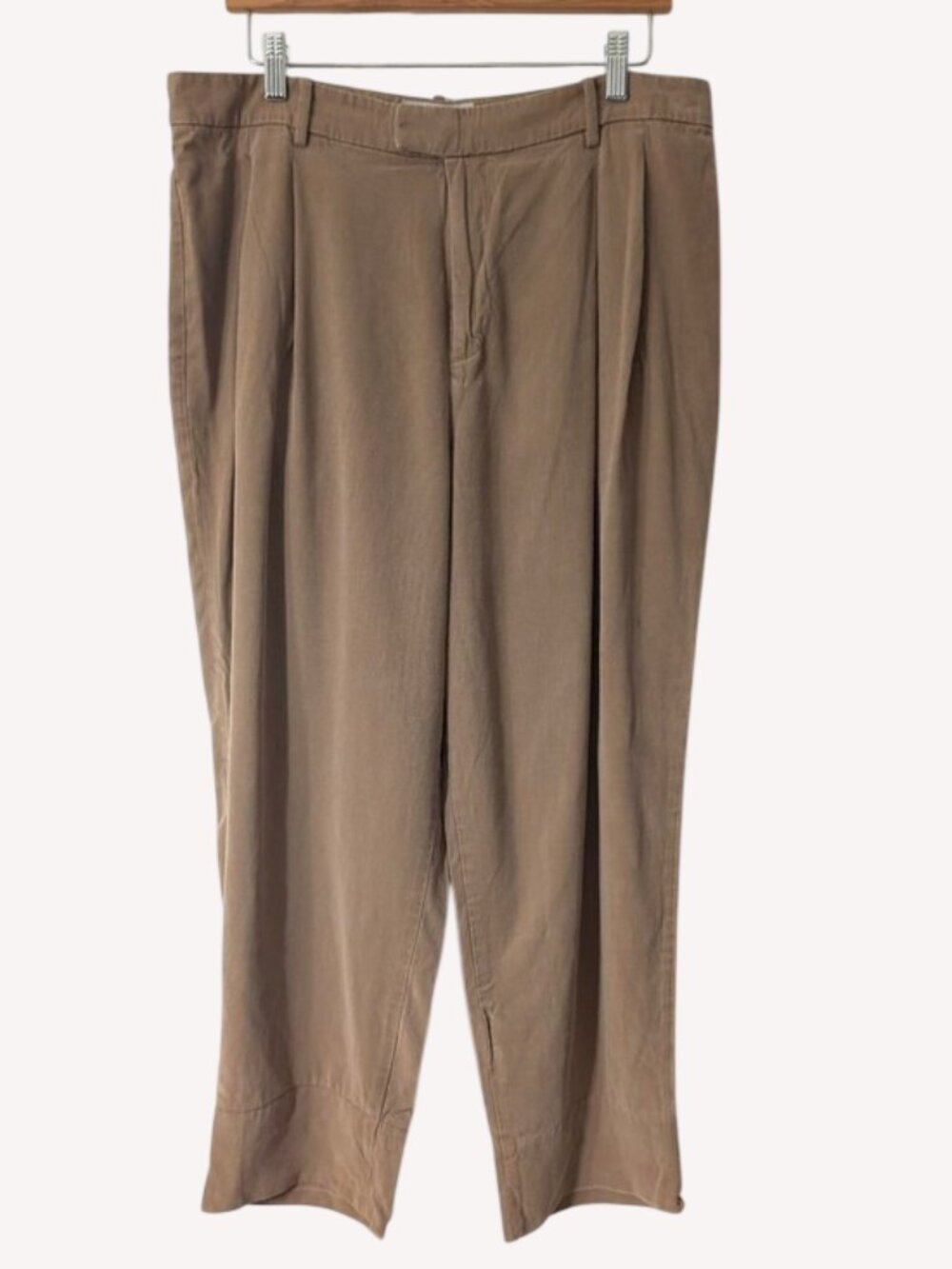 Everlane 100% Lyocell Casual Pleated Brown Pants Pockets Size 14